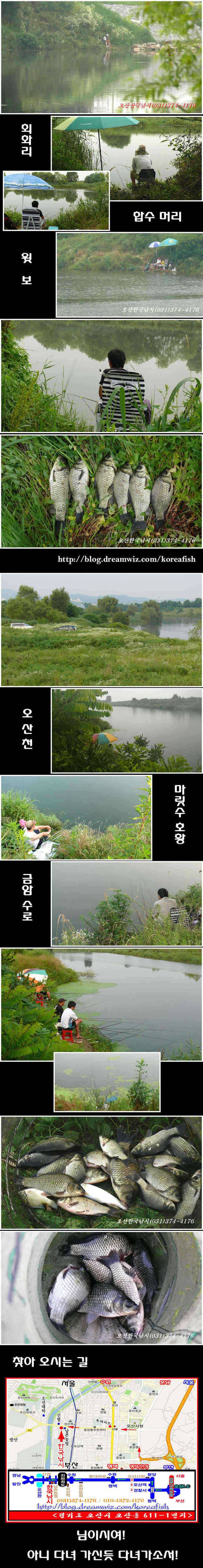 장마와 오산권 수로낚시 (조황조행기 - 특파원조황)