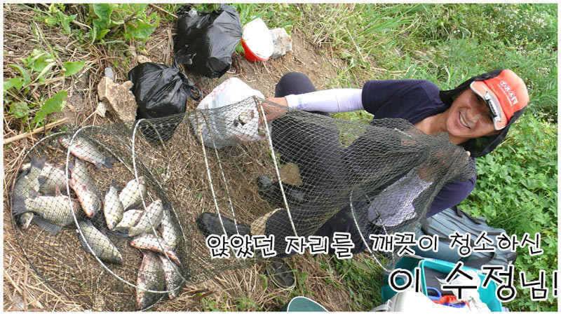 회화리보삼복더위와 붕어 (조황조행기 - 특파원조황)