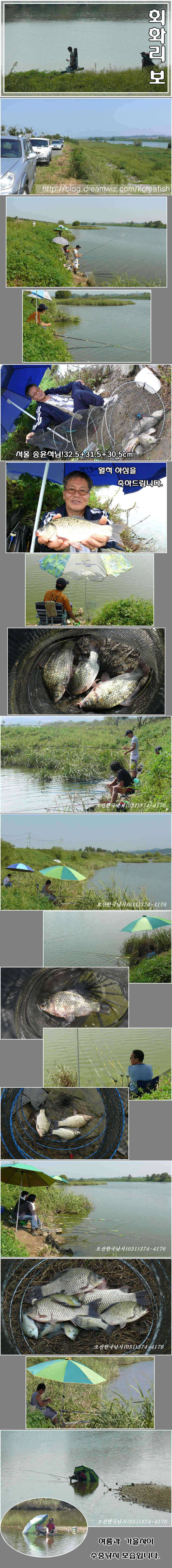 회화리보더도말고 덜도말고 (조황조행기 - 특파원조황)