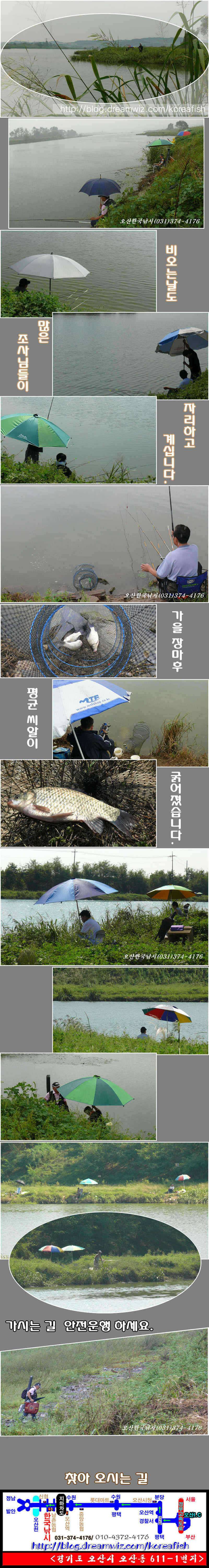 회화리보더도말고 덜도말고 (조황조행기 - 특파원조황)