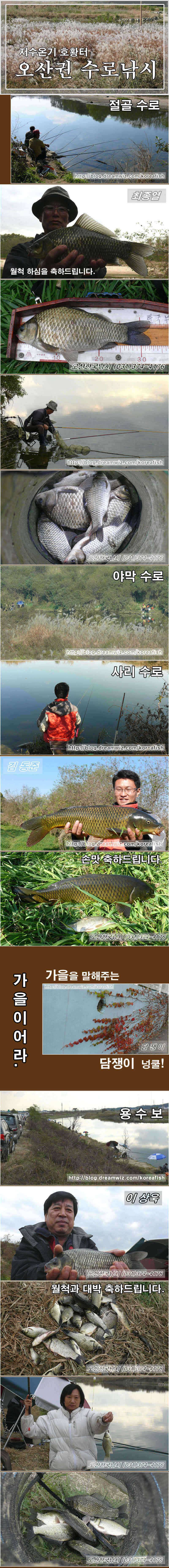 저수온기 왕대박 명당터오산의 수로낚시 (조황조행기 - 특파원조황)