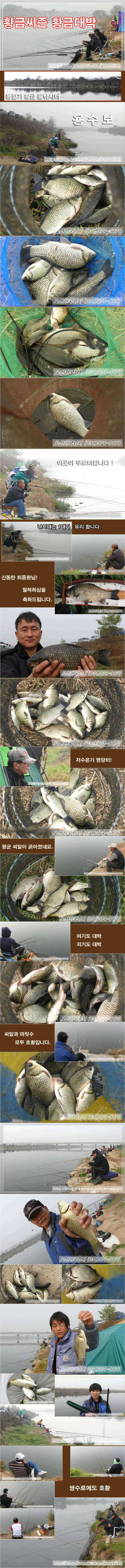 황금씨즌 맞은 황금대박터 (조황조행기 - 특파원조황)