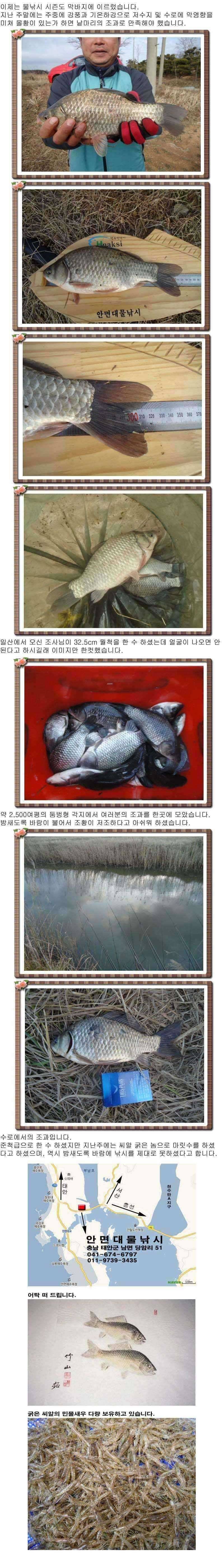 안면도권 저수지 및 수로 조황 안내 (조황조행기 - 특파원조황)