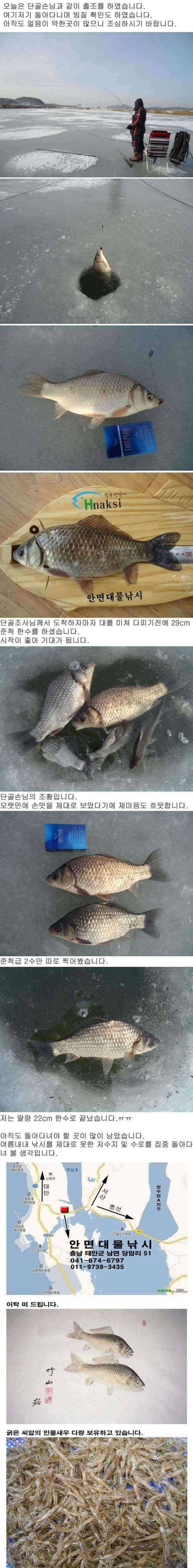 안면도권 저수지 얼음낚시 월요일 조황 안내 (조황조행기 - 특파원조황)