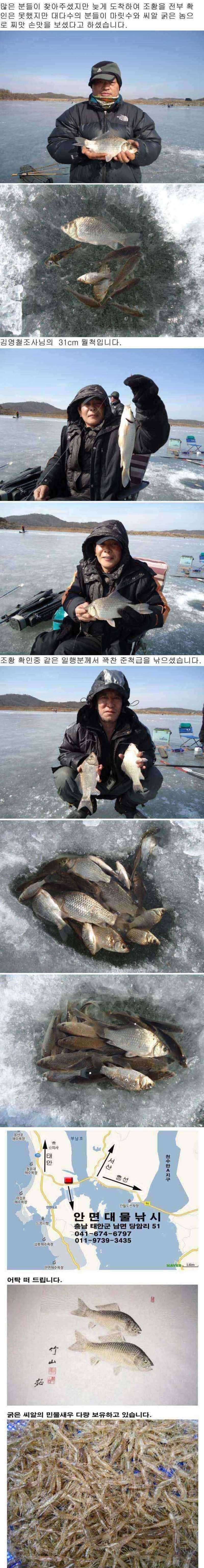 안면도권 저수지 얼음낚시 주말 조황 안내 (조황조행기 - 특파원조황)