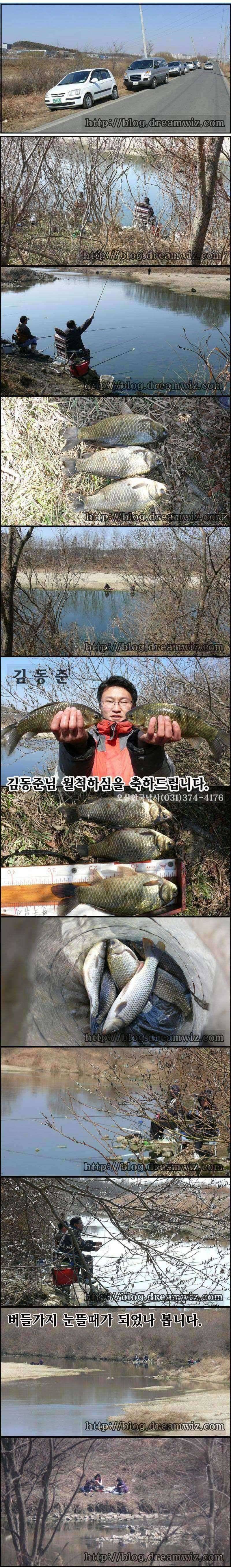 오산권 수로의 봄 (조황조행기 - 특파원조황)