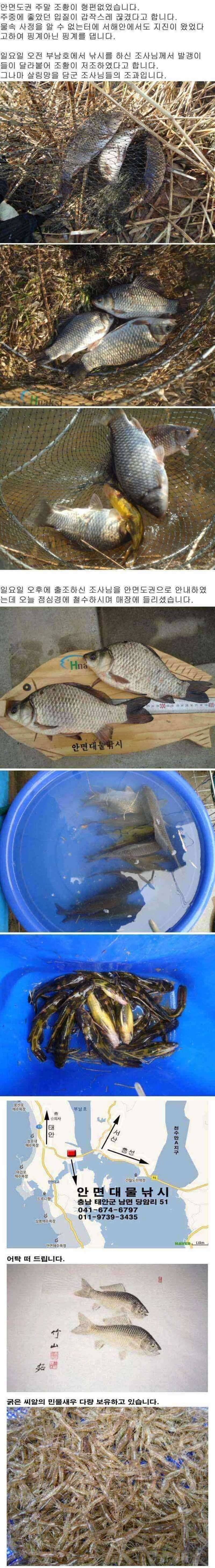안면도권 저수지 및 수로 주말 조황 안내 (조황조행기 - 특파원조황)