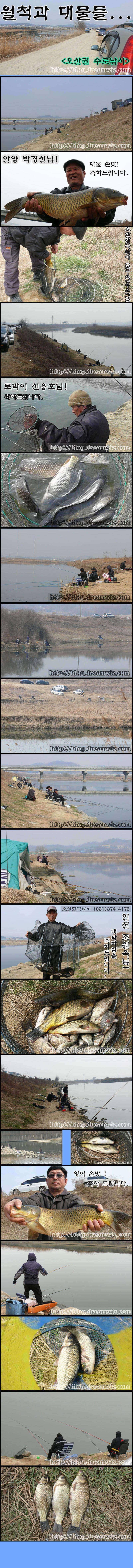 준월척 붕어와 대물잉어들 (조황조행기 - 특파원조황)