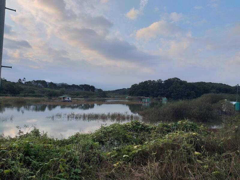 고삼지10월 첫주 소식 (조황조행기 - 특파원조황)