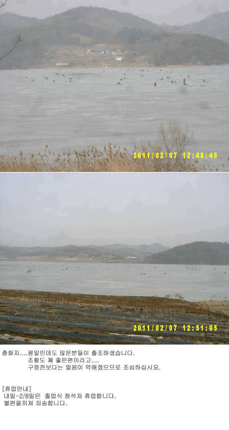 충화지 조황 (조황조행기 - 특파원조황)