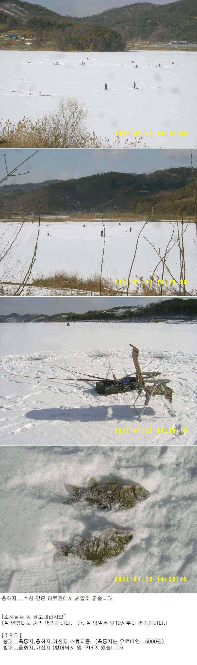 충화지 얼음낚시 (조황조행기 - 특파원조황)