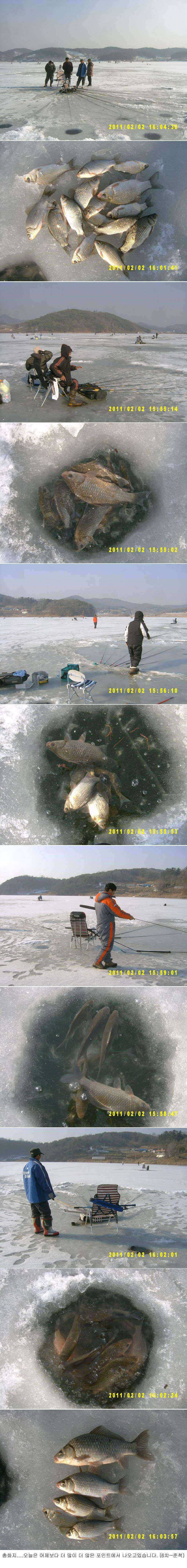 충화지 조황 (조황조행기 - 특파원조황)