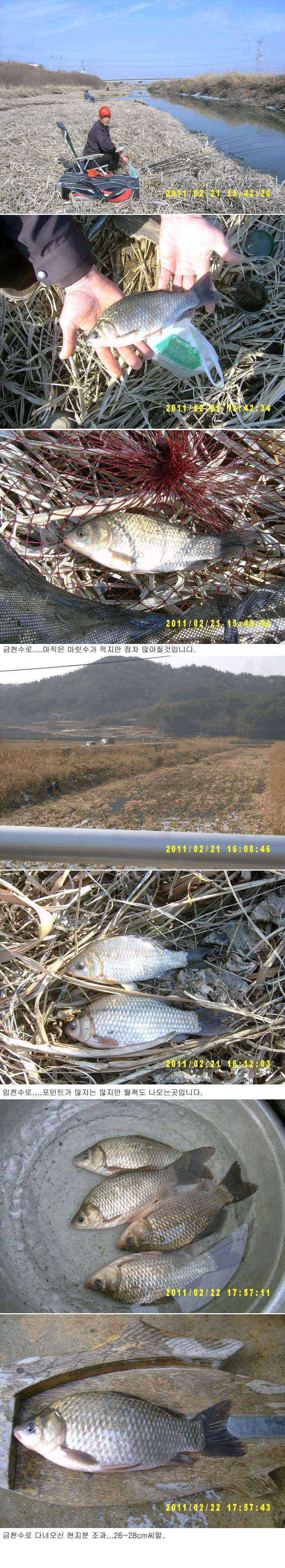 수로권 물낚시 조황 (조황조행기 - 특파원조황)