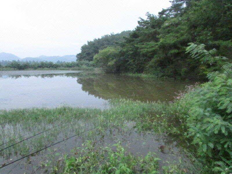 8월 마지막주 조황입니다 (조황조행기 - 특파원조황)