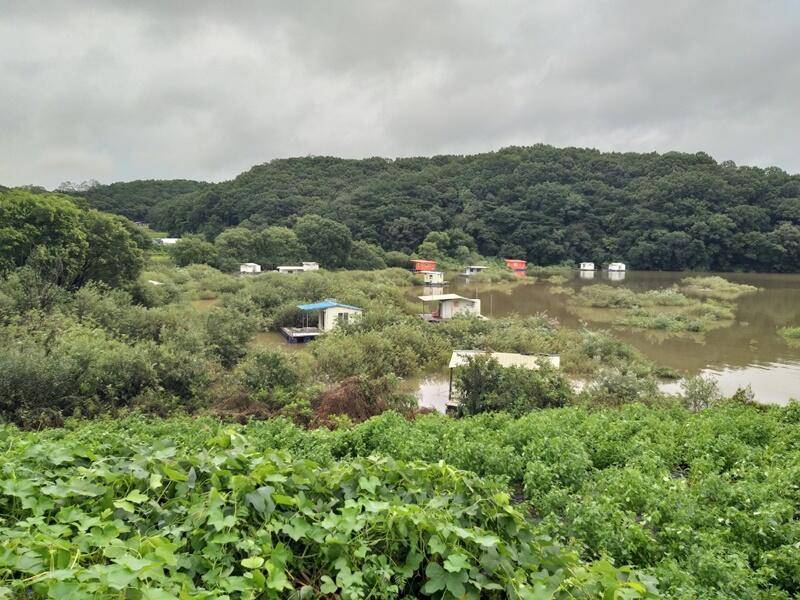 비가 그쳤습니다고삼지 (조황조행기 - 특파원조황)