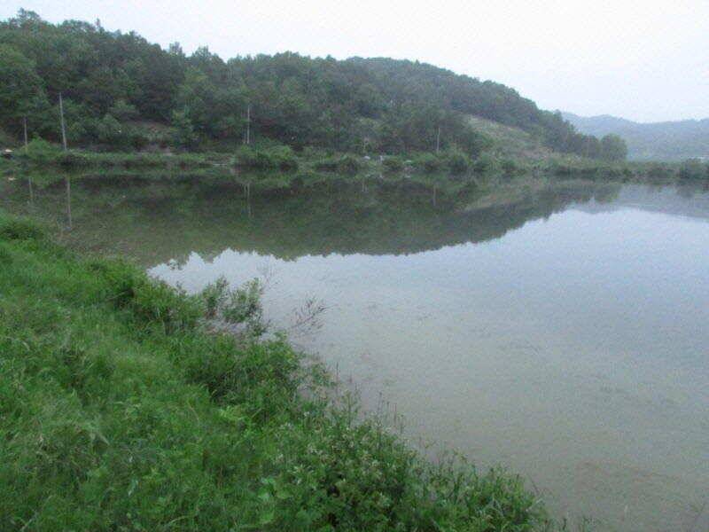 5월 4째주 조황입니다 (조황조행기 - 특파원조황)