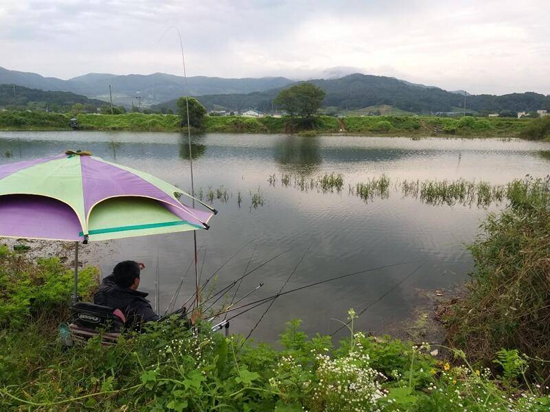 고삼지 노지터지고 또 터지고 (조황조행기 - 특파원조황)