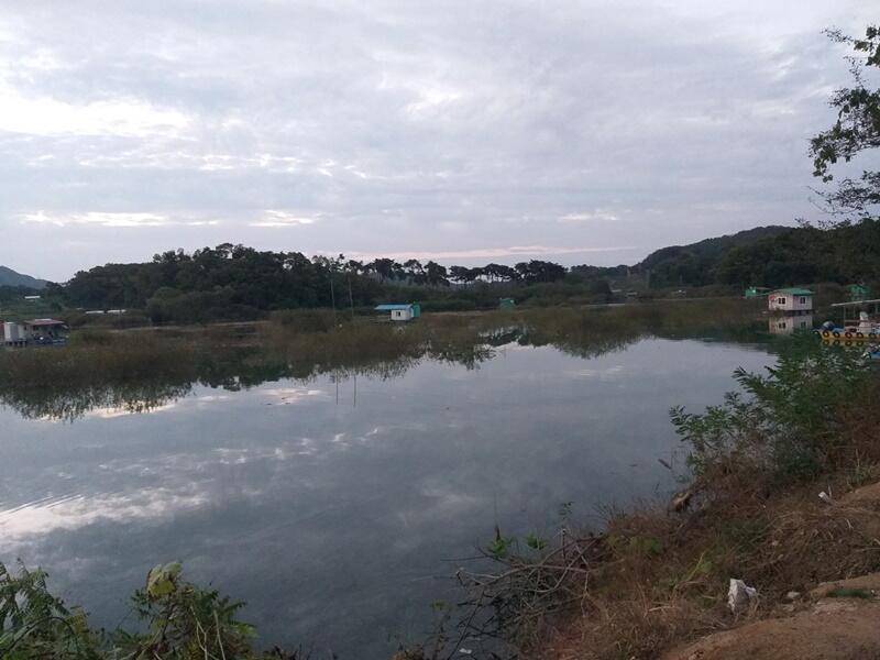 고삼지수문방류 중단후 모습 (조황조행기 - 특파원조황)
