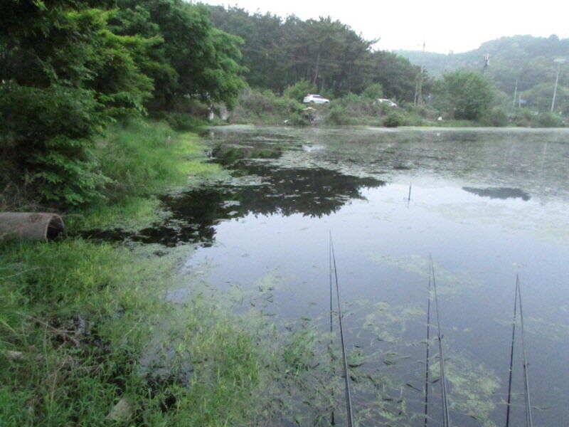 5월 4째주 조황입니다 (조황조행기 - 특파원조황)