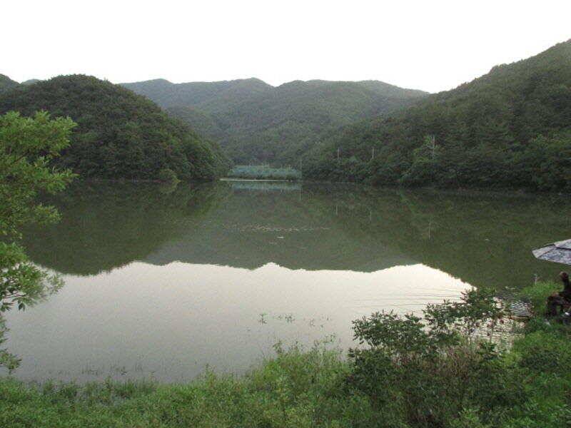 7월 첫주 조황입니다 (조황조행기 - 특파원조황)