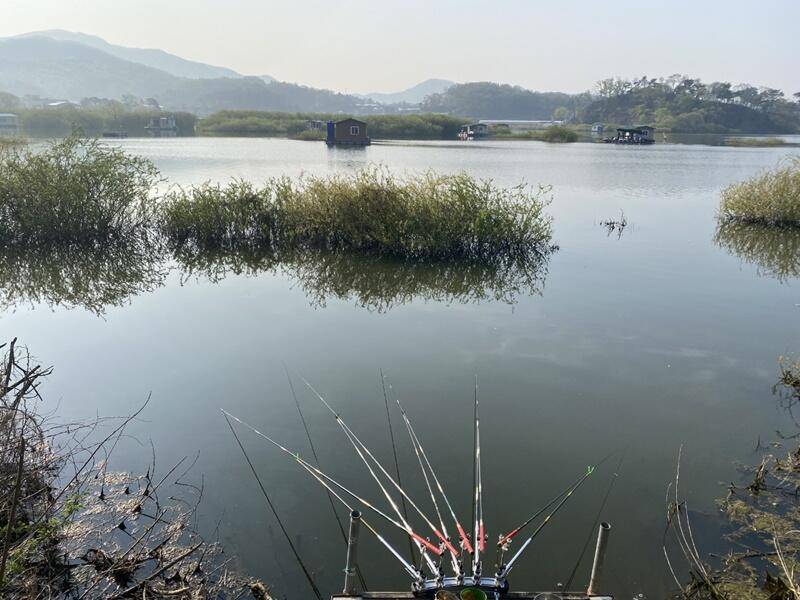 이게 고삼지의 저력입니다 (조황조행기 - 특파원조황)