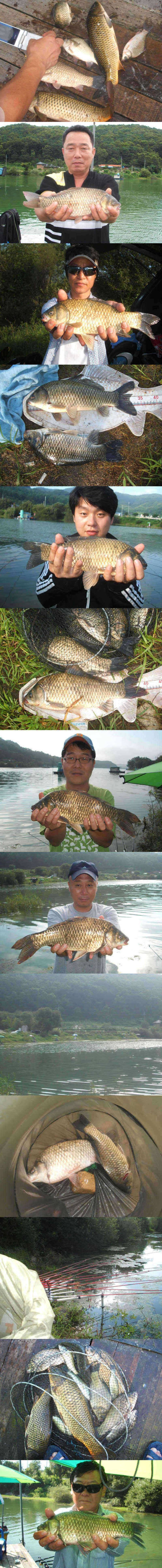 덕산지 4짜를 비롯한 대물들 (조황조행기 - 특파원조황)