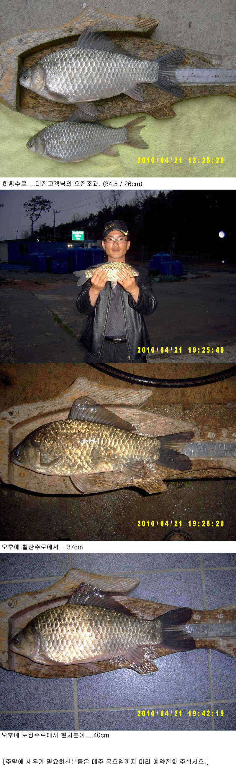 수로권 조황40cm (조황조행기 - 특파원조황)