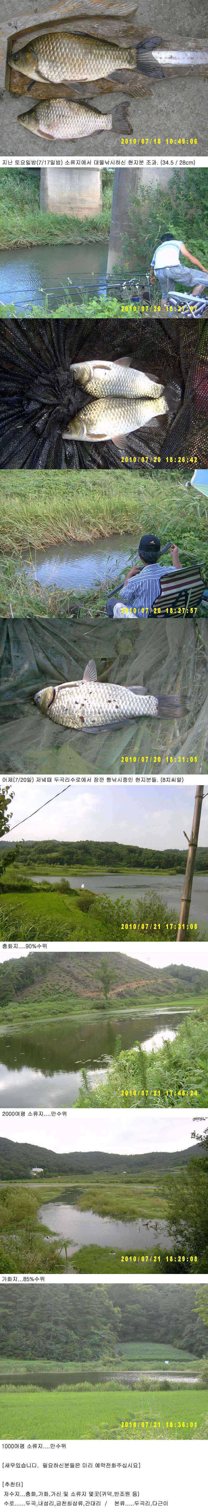 721일 부여 조황 및 추천터 (조황조행기 - 특파원조황)