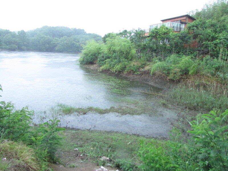 6월 3째주 조황입니다 (조황조행기 - 특파원조황)