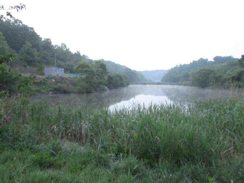 5월 마지막주 조황소식입니다 (조황조행기 - 특파원조황)