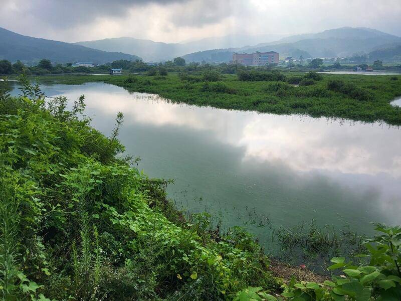 고삼지 붕어의 모습 (조황조행기 - 특파원조황)