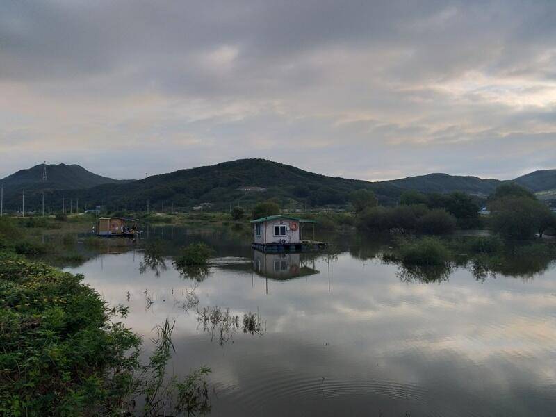 고삼지10월 첫주 소식 (조황조행기 - 특파원조황)
