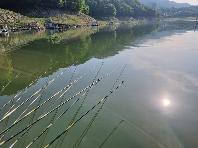 충주호 하천 낚시터 조황 소식입니다 (조황조행기 - 특파원조황)