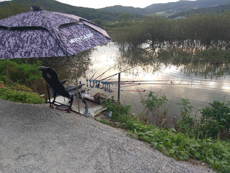 고삼지10월 첫주 소식 (조황조행기 - 특파원조황)
