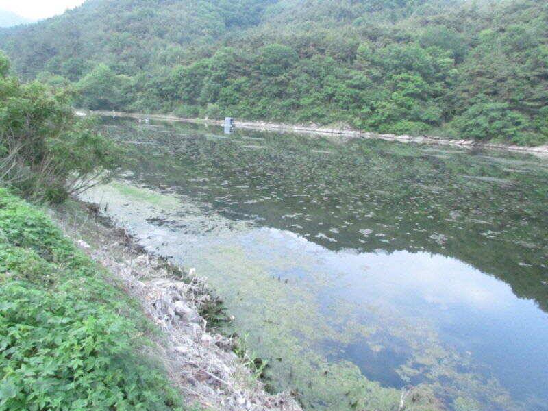 5월 마지막주 조황소식입니다 (조황조행기 - 특파원조황)
