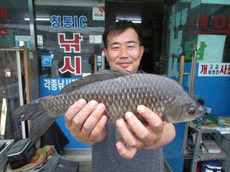 4월 4주차 조황입니다 (조황조행기 - 특파원조황)