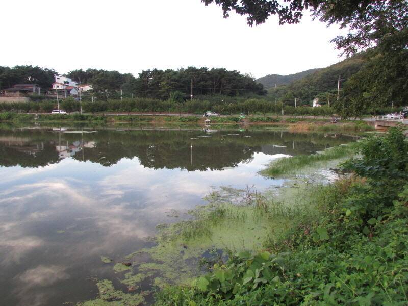 4주차 조황입니다 (조황조행기 - 특파원조황)