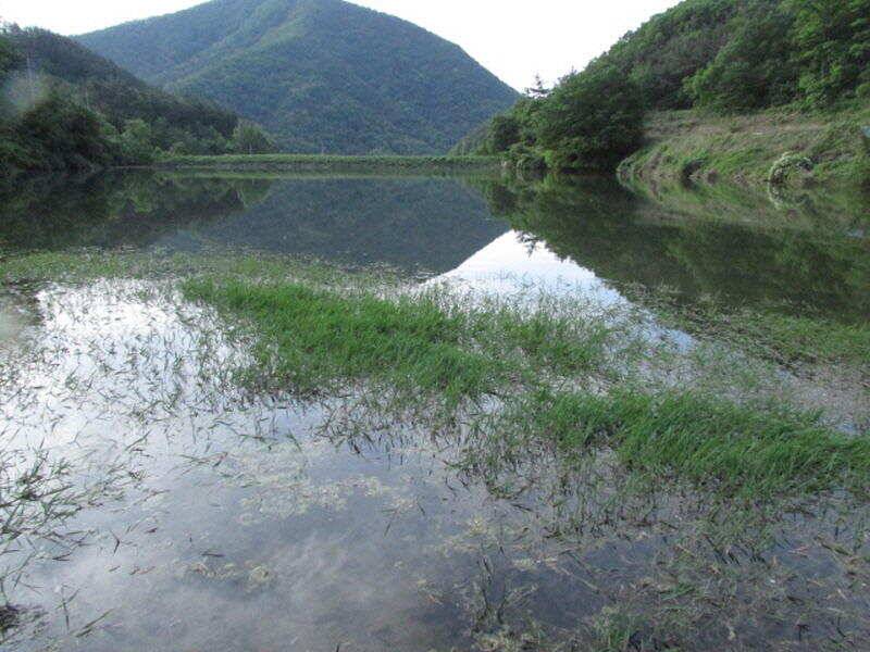 5월 마지막주 조황 입니다 (조황조행기 - 특파원조황)