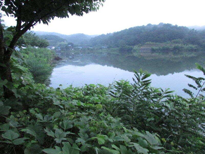 7월 첫주 조황입니다 (조황조행기 - 특파원조황)