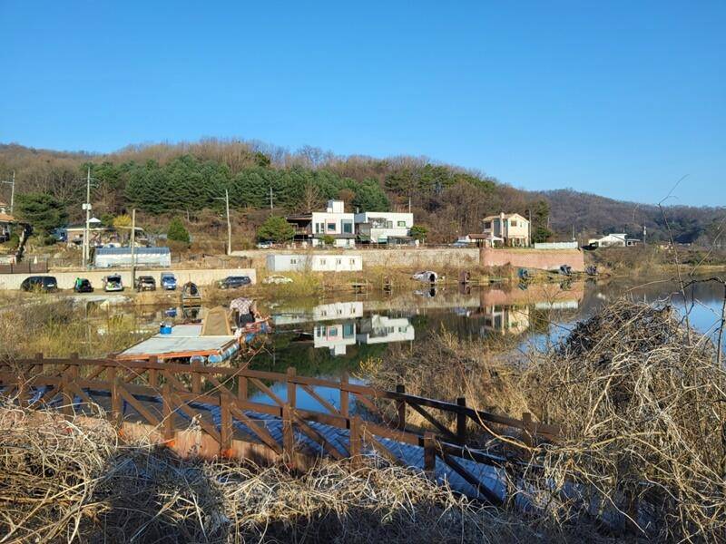 본격적으로 시작된 두창지 (조황조행기 - 특파원조황)