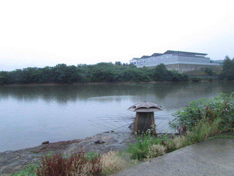 6월 3째주 조황입니다 (조황조행기 - 특파원조황)