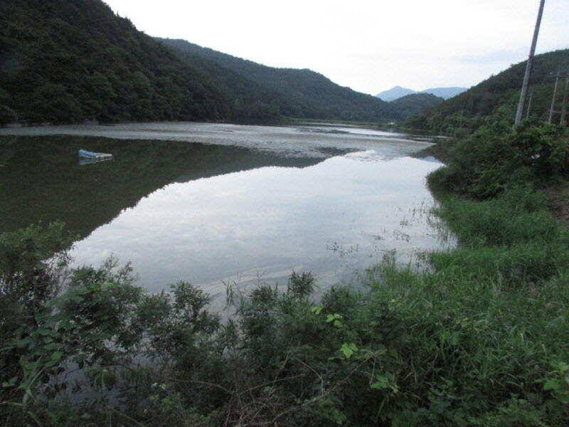 7월 첫주 조황입니다 (조황조행기 - 특파원조황)