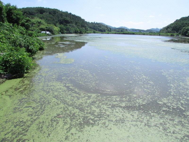 7월3째주 조황입니다 (조황조행기 - 특파원조황)