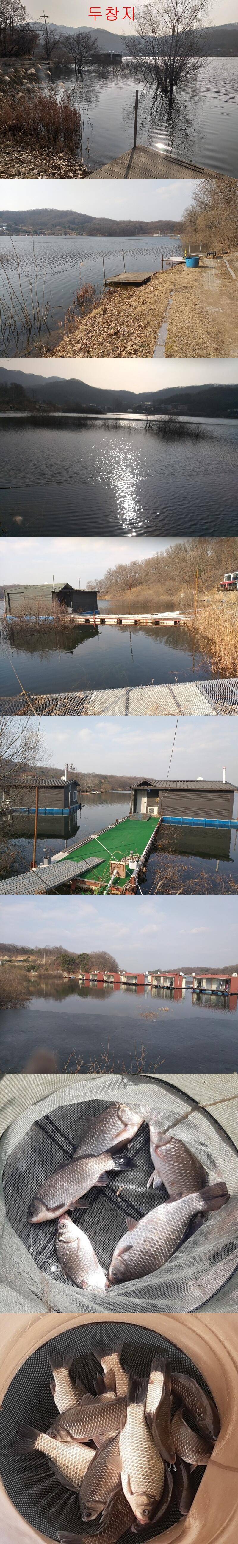 안흥수낚시 주변 낚시터들봄이 왔습니다 (조황조행기 - 특파원조황)
