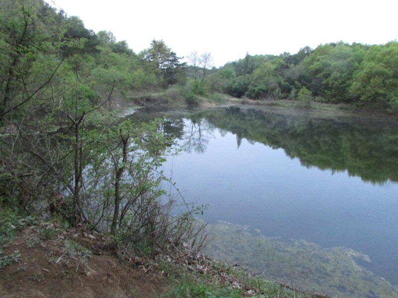 5월 첫주 조황 입니다 (조황조행기 - 특파원조황)