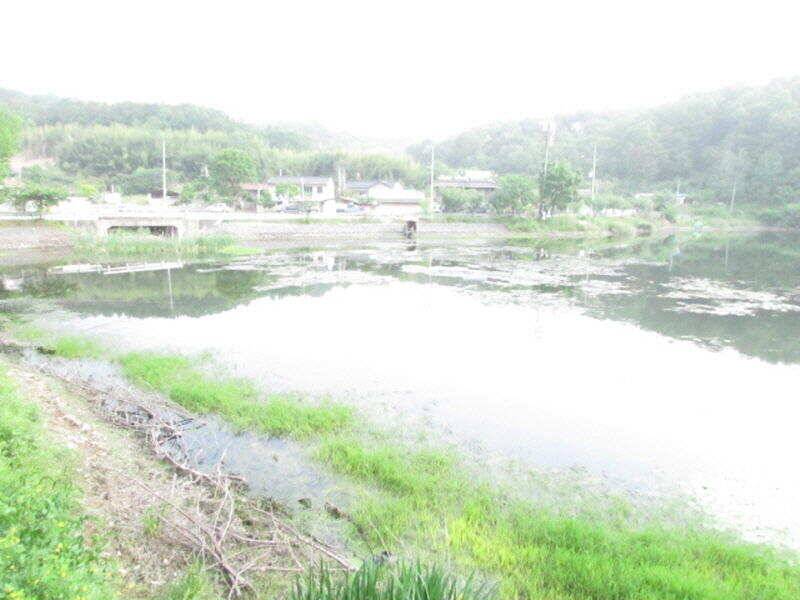 5월 4째주 조황입니다 (조황조행기 - 특파원조황)