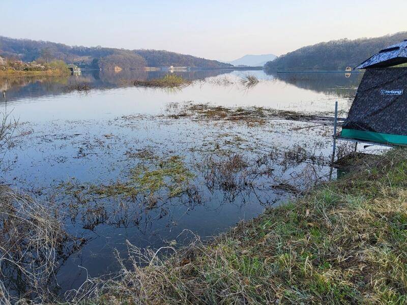 초보님들께 강추두창지 (조황조행기 - 특파원조황)