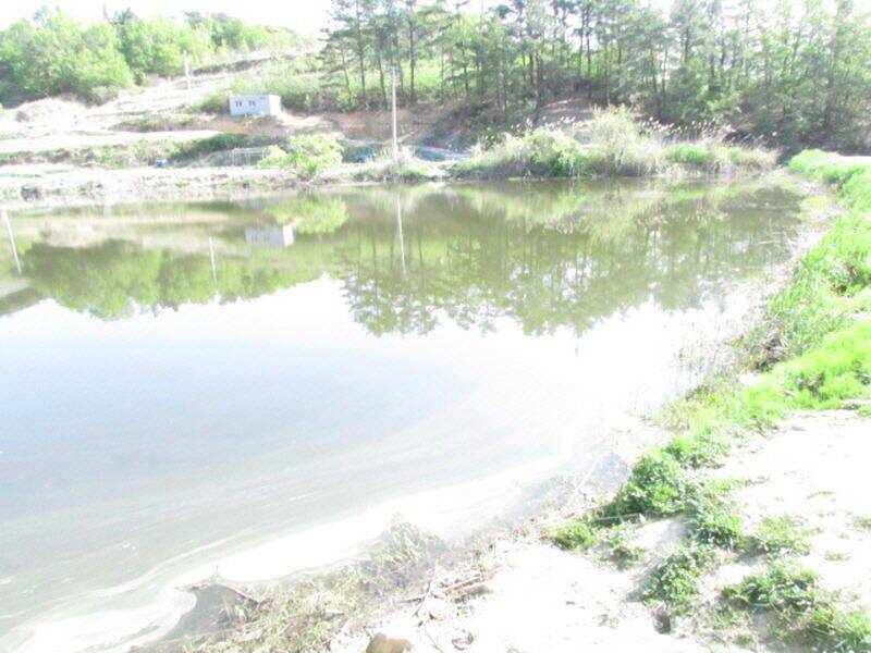 5월 첫주 조황 소식입니다 (조황조행기 - 특파원조황)