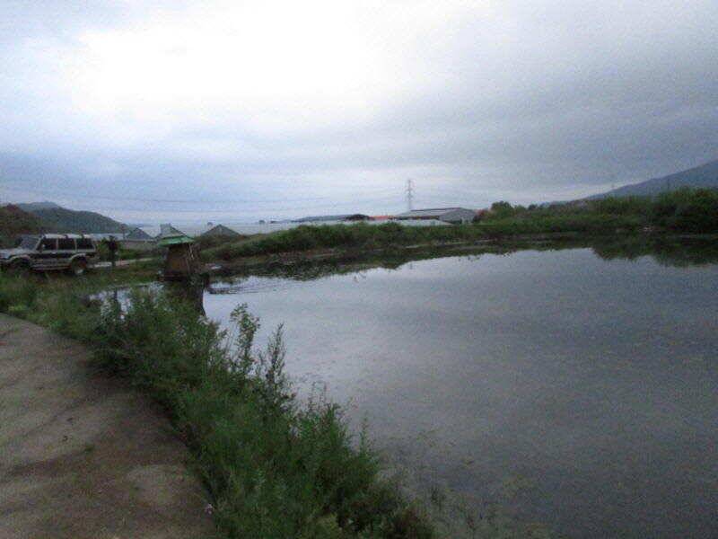 5월 3째주 조황입니다 (조황조행기 - 특파원조황)