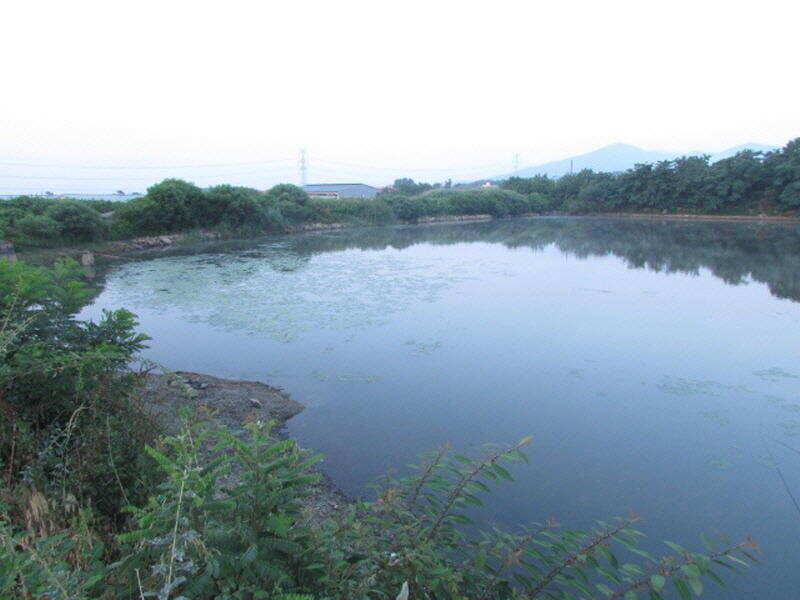 6월 4째주 조황입니다 (조황조행기 - 특파원조황)